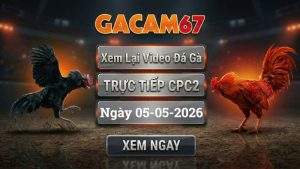 Xem Lại Video Đá Gà CPC2 Ngày 05/05/2026