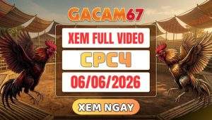 Xem Full Video Đá Gà CPC4 Ngày 6/6/2026 tại GACAM67