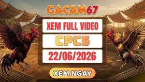 Xem Lại Video Đá Gà CPC5 Ngày 22/06/2026 Tại GACAM67